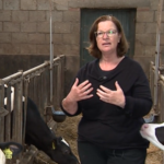 April 2019: Onderzoek naar communicatie tussen boer en koe