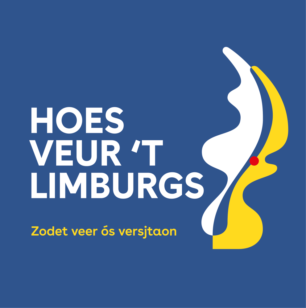 "Hoes veur 't Limburgs: zodet veer ós versjtaon" op een blauwe ondergrond en als logo de provncie van Limburg in wit en geel.