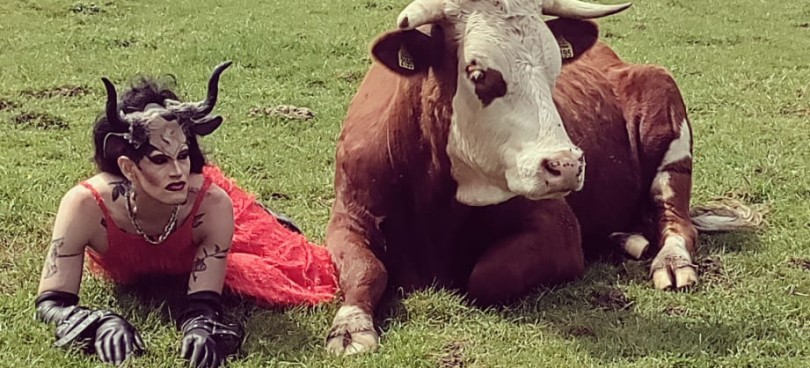 Afbeelding van kunstenaar Soya the Cow en intersekse koe Piet die naast elkaar liggen op het gras.